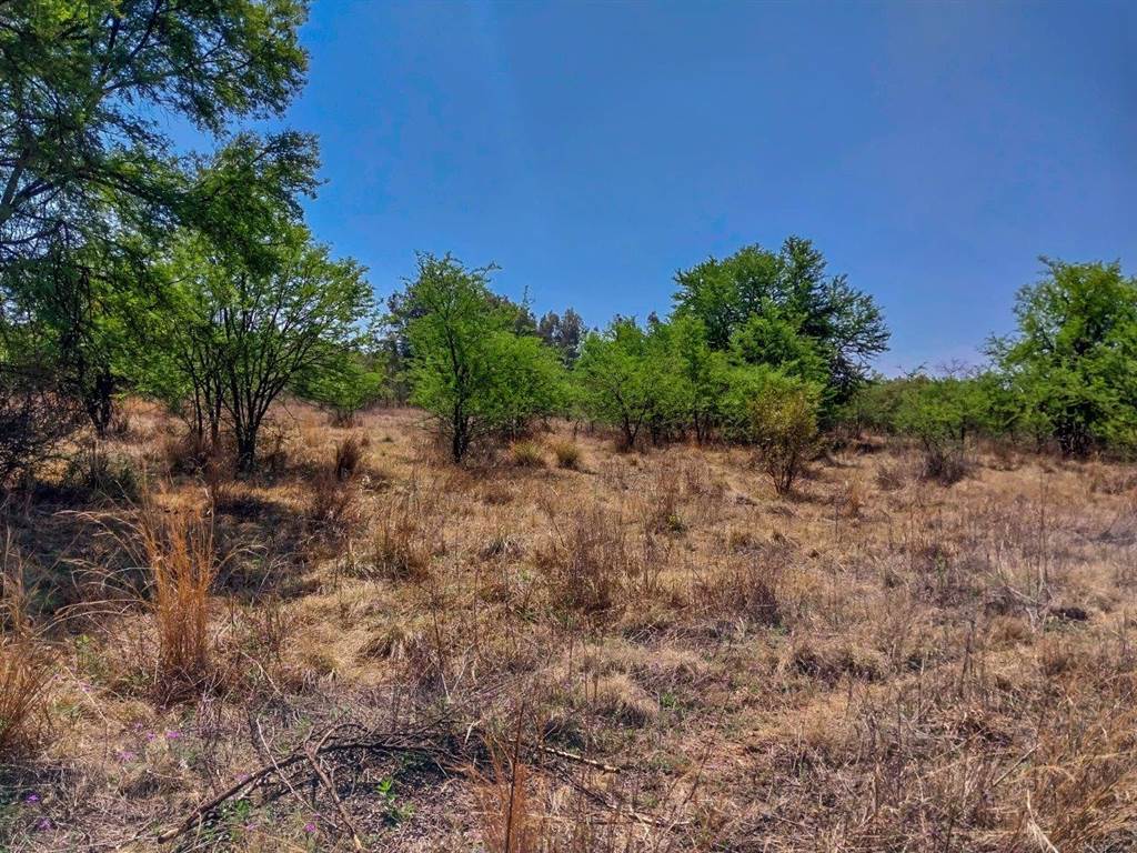 27 m² Land available in Louwlardia photo number 6