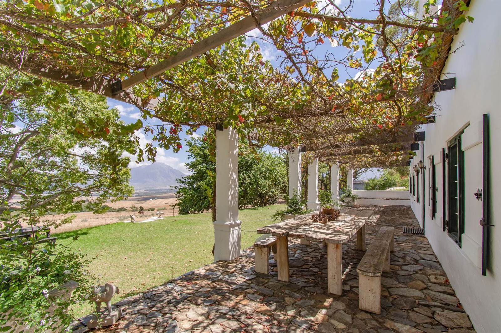 153 ha Farm with House in Tulbagh photo number 26