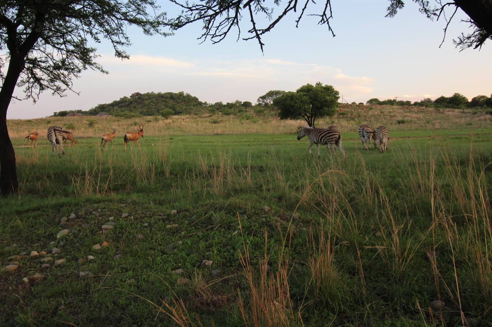 8097 m² Land available in Sterkfontein and surrounds photo number 17