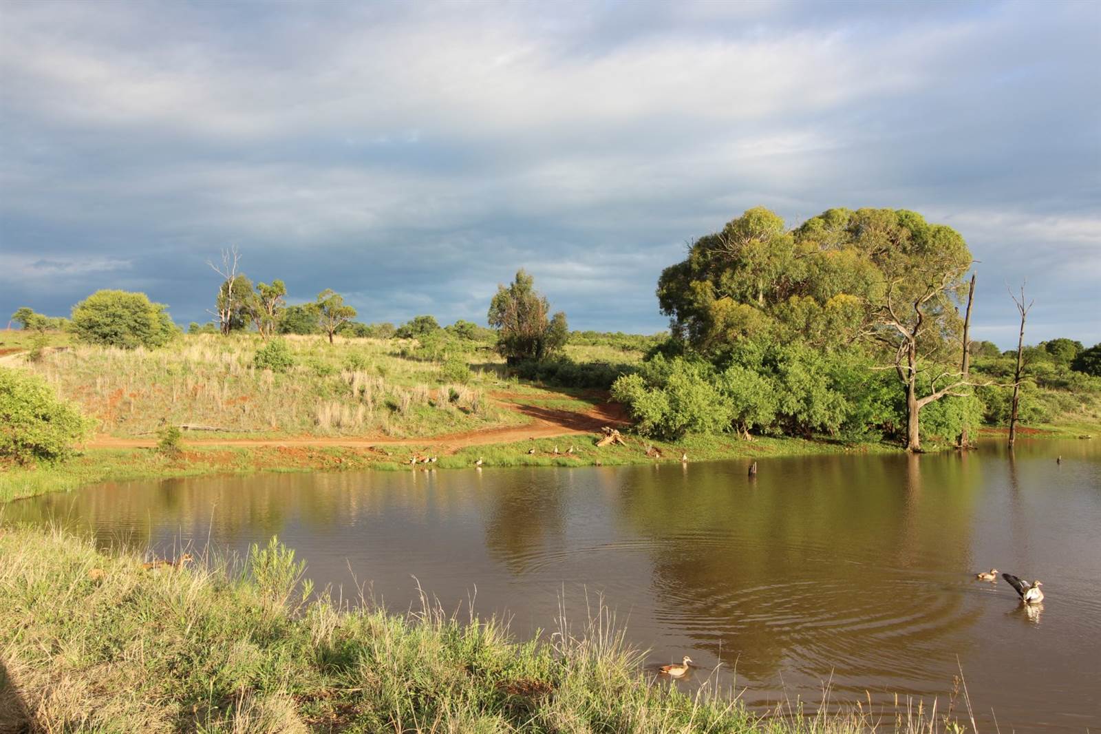 8097 m² Land available in Sterkfontein and surrounds photo number 13