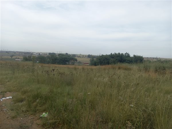 1 ha Land available in Naauwpoort