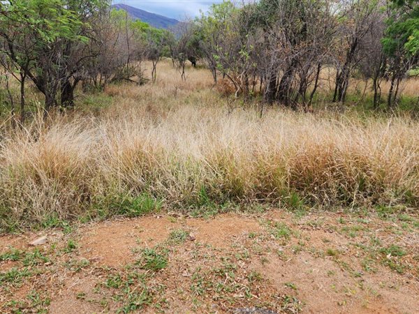 1084 m² Land available in Seasons Lifestyle Estate