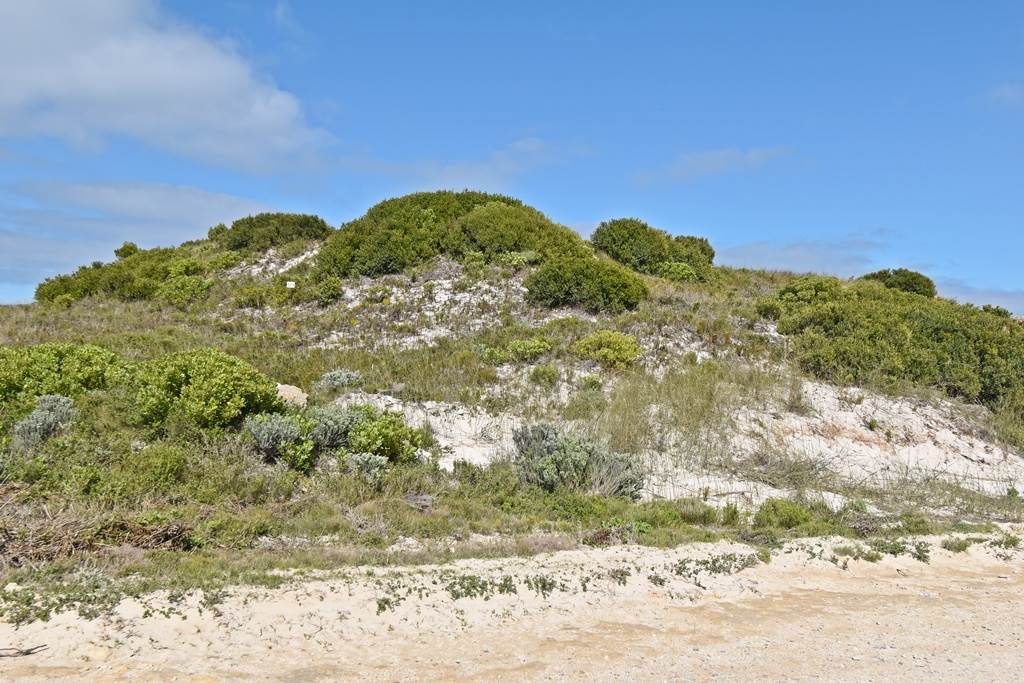 778 m² Land available in Suiderstrand photo number 3