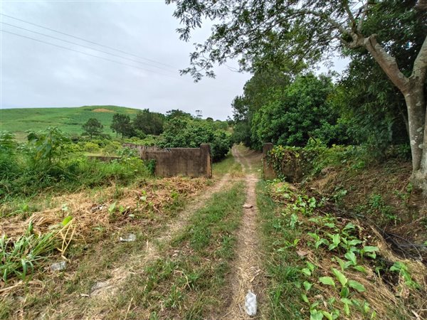 3.1 ha Farm in Umtentweni