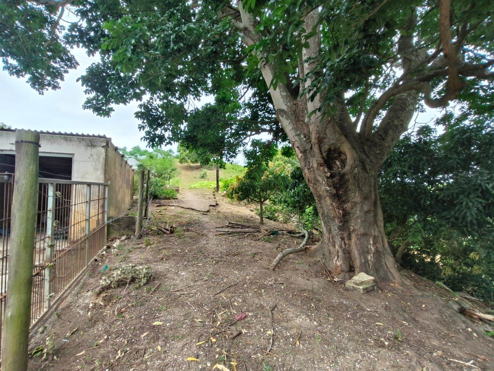 3.1 ha Farm in Umtentweni photo number 21