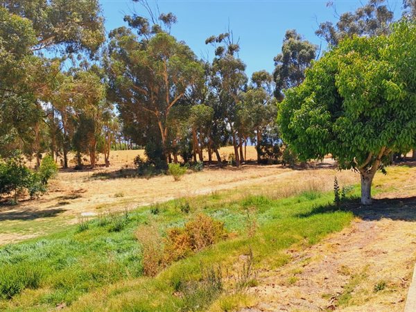 1000 m² Land available in Riebeek West