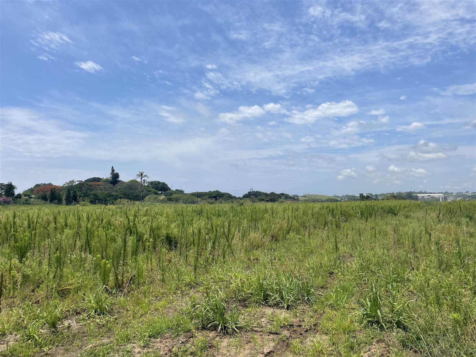 7222 m² Land available in Ballito Commercial District photo number 5