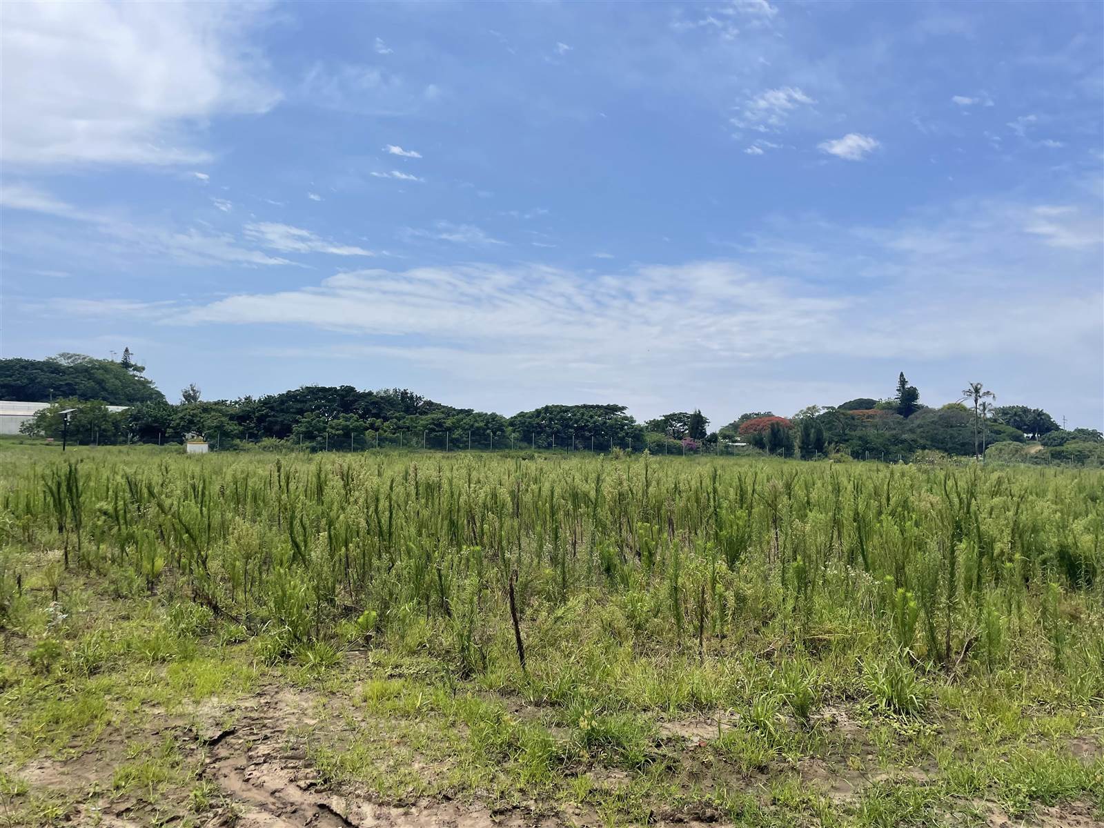7222 m² Land available in Ballito Commercial District photo number 4