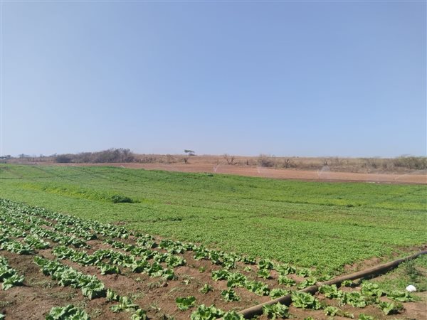 35.8 ha Farm 35.8 ha Farm