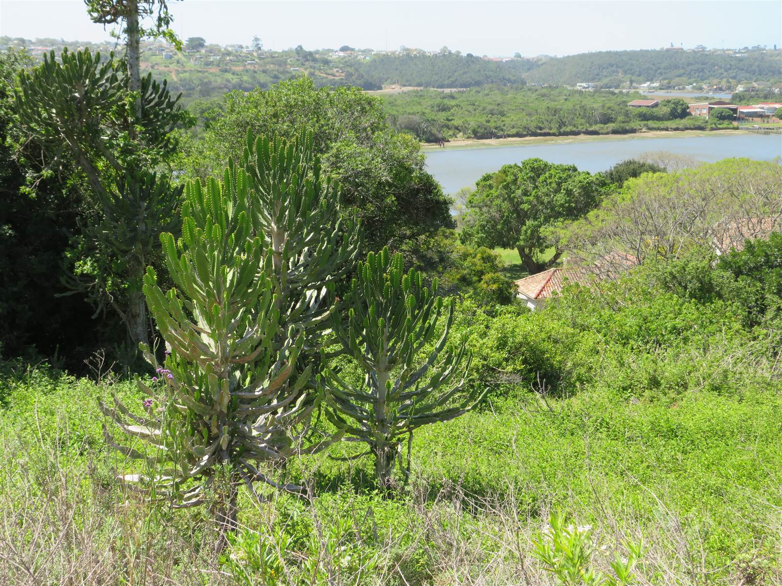 1500 m² Land available in Port Alfred photo number 8