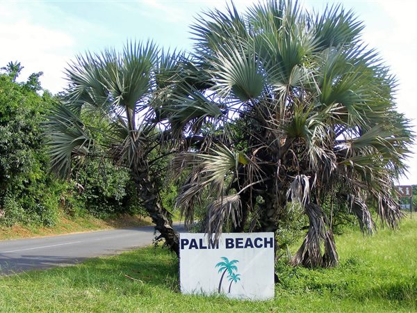2833 m² Land available in Palm Beach