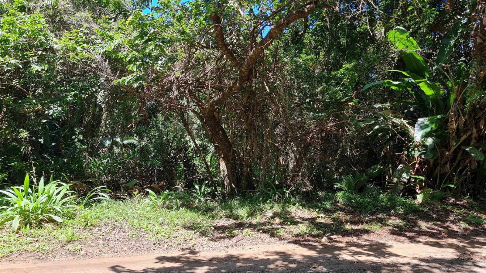2833 m² Land available in Palm Beach photo number 3
