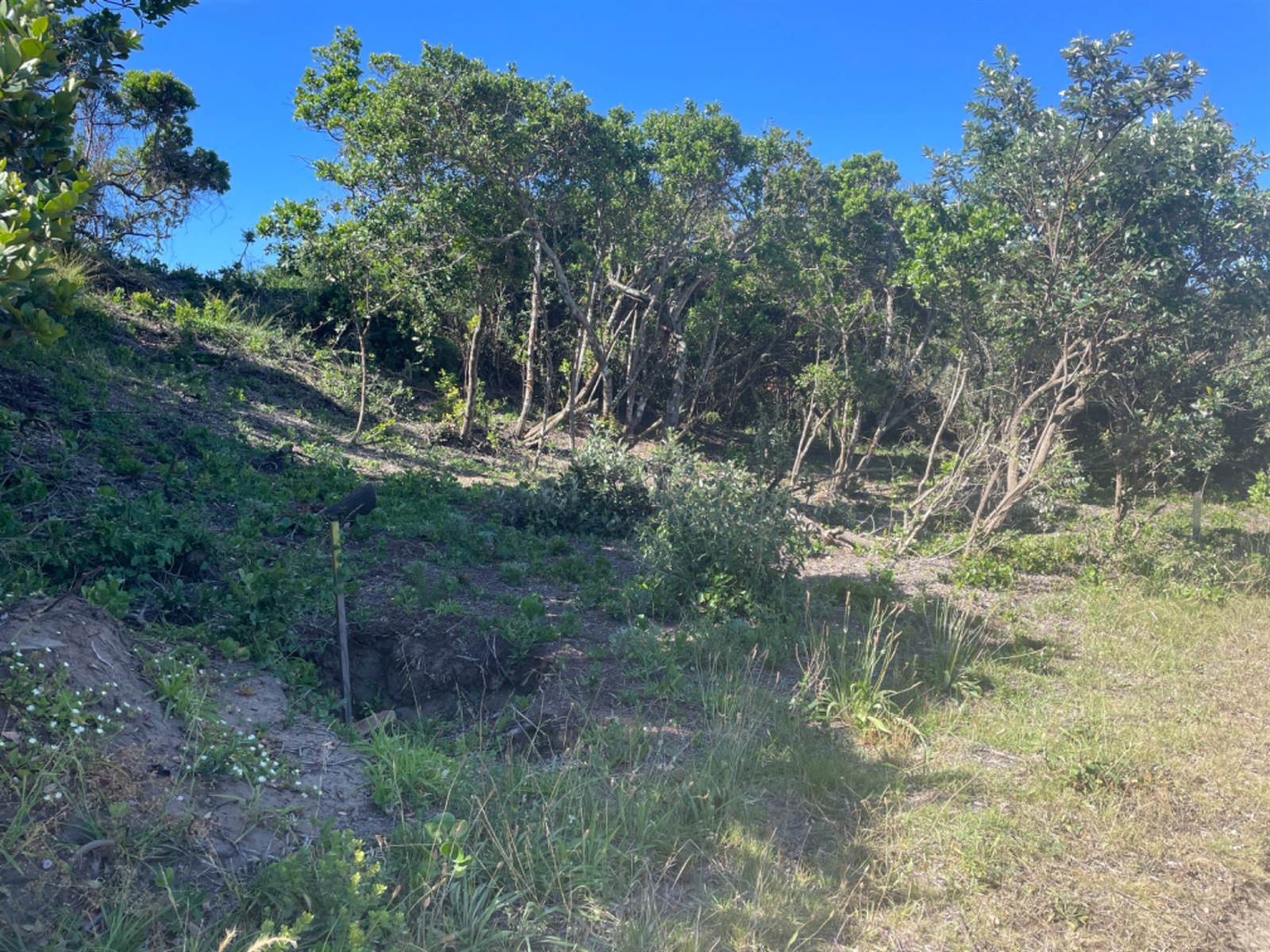 863 m² Land available in Cannon Rocks photo number 4