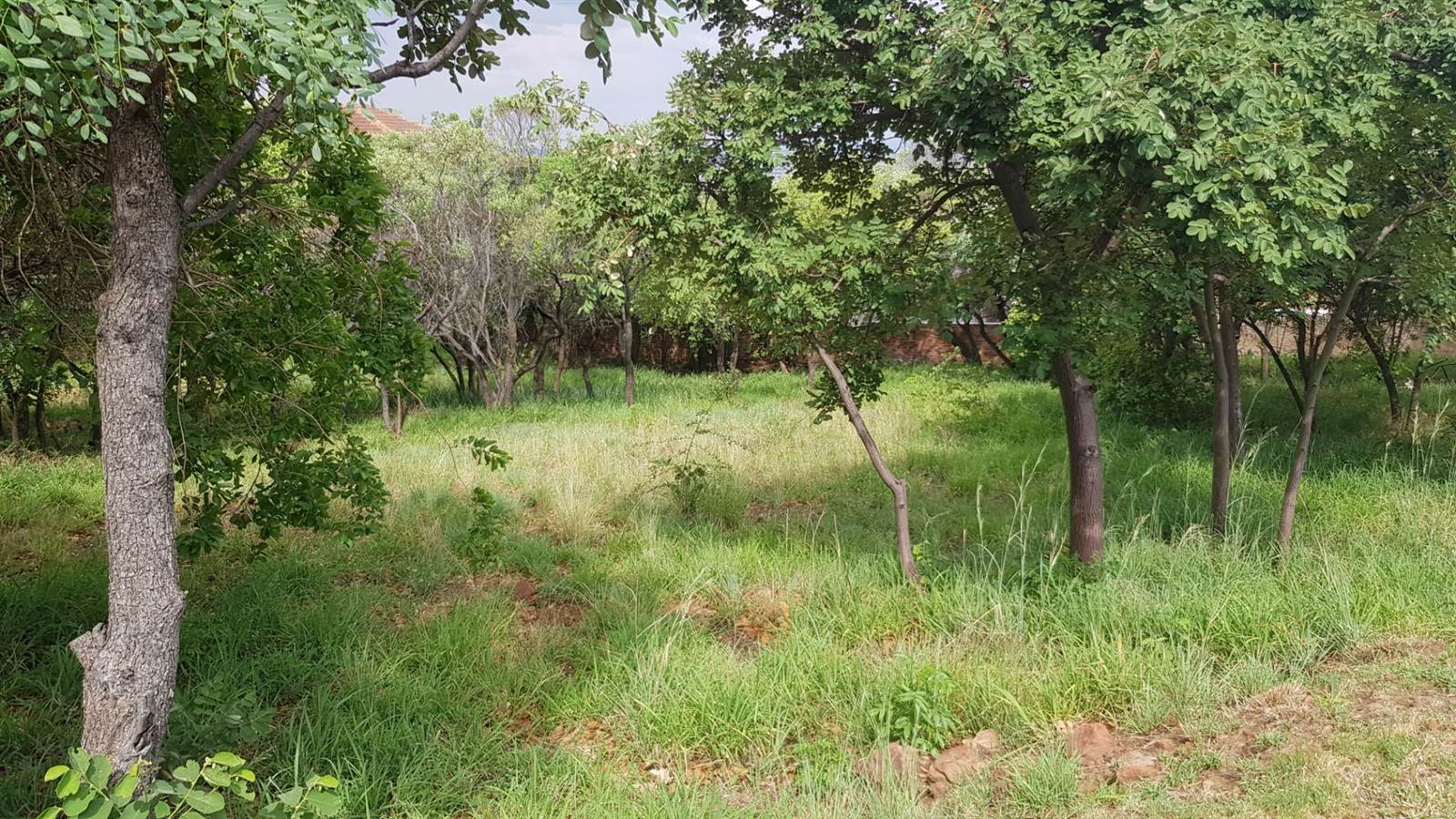 1170 m² Land available in Cashan photo number 2