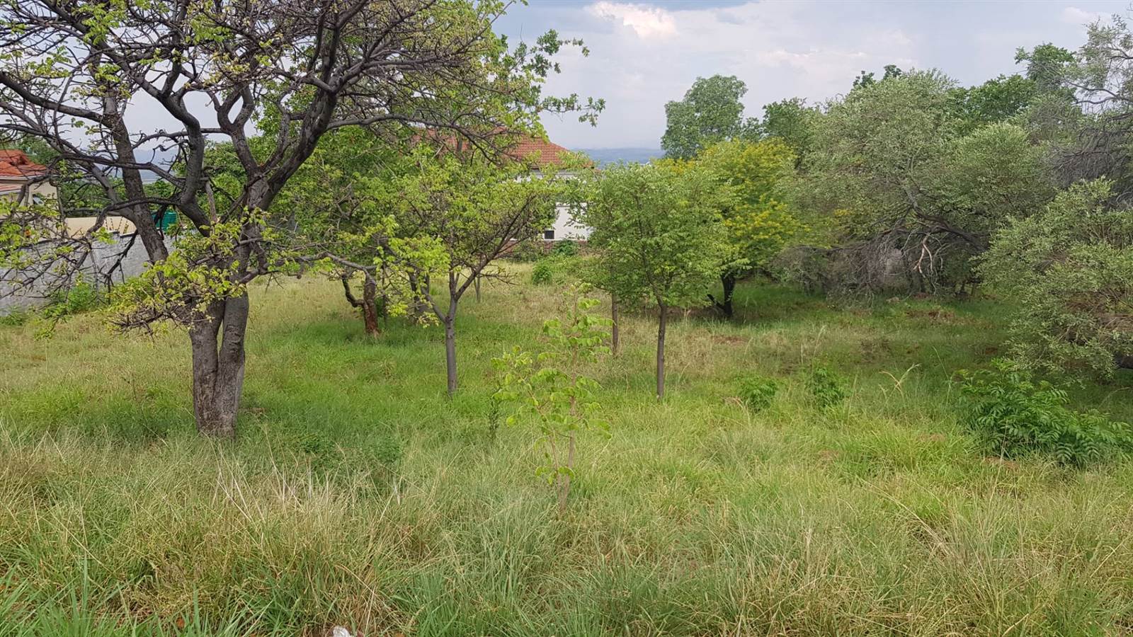 1170 m² Land available in Cashan photo number 1