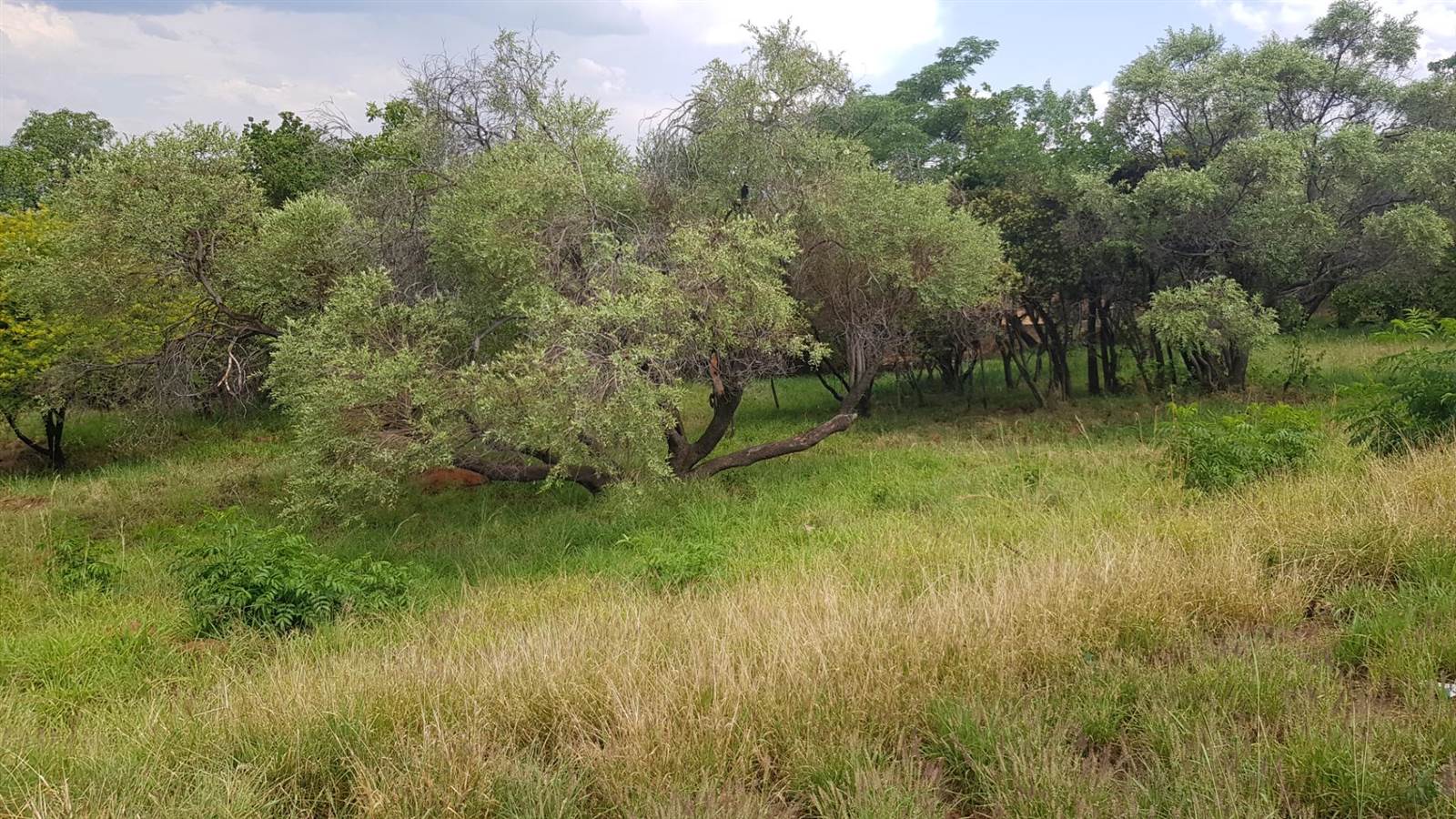 1170 m² Land available in Cashan photo number 3