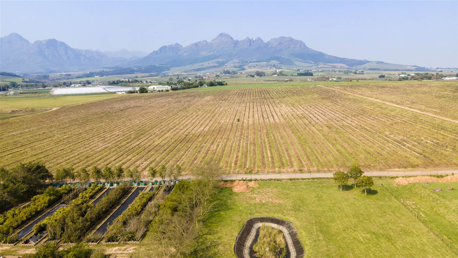 8.8 ha Farm in Stellenbosch Agricultural photo number 3