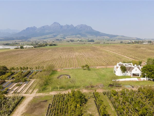 8.8 ha Farm in Stellenbosch Agricultural