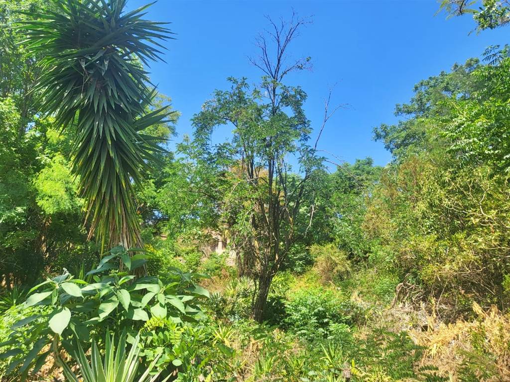 1146 m² Land available in Faerie Glen photo number 1