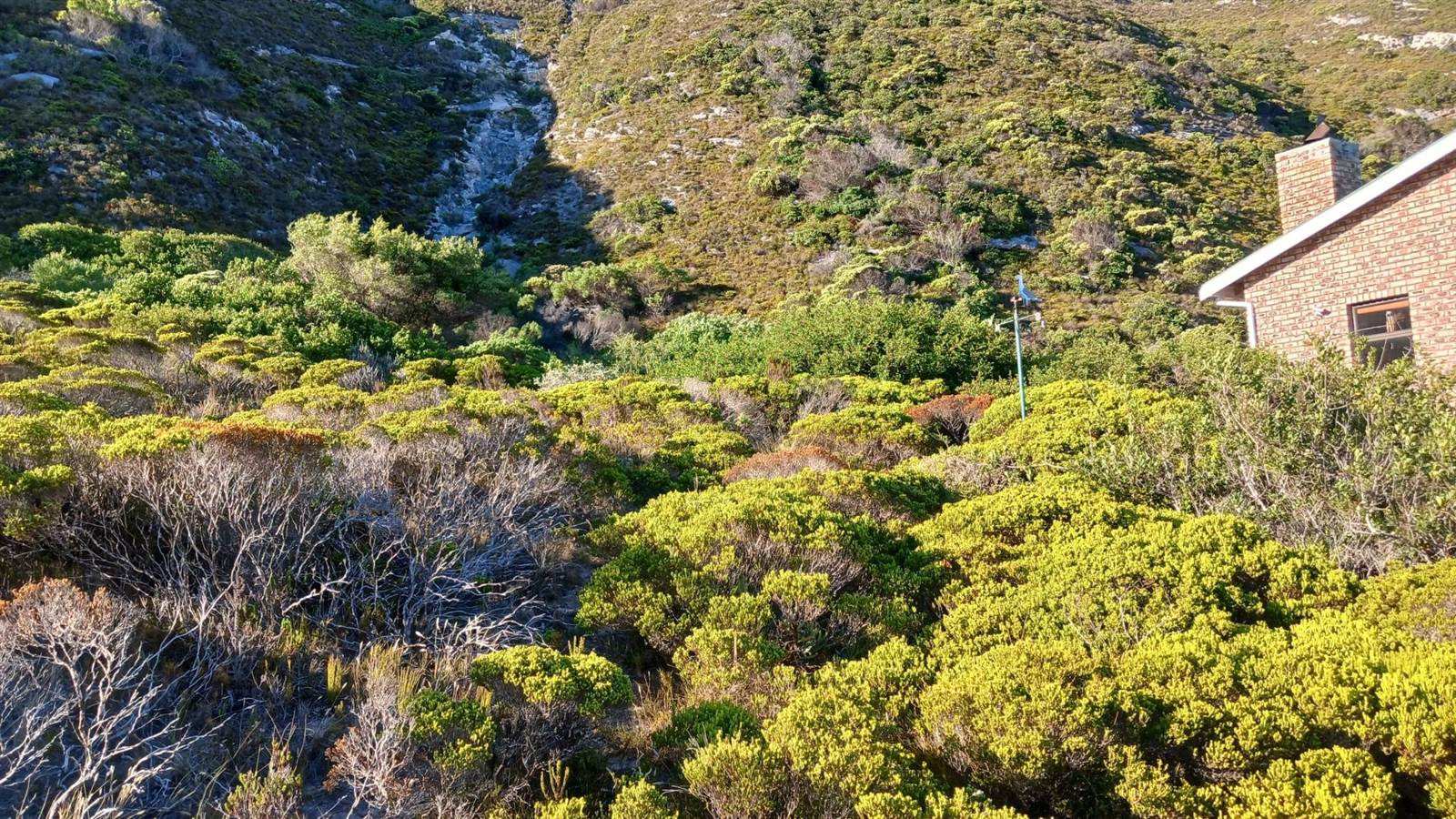 750 m² Land available in Agulhas photo number 11