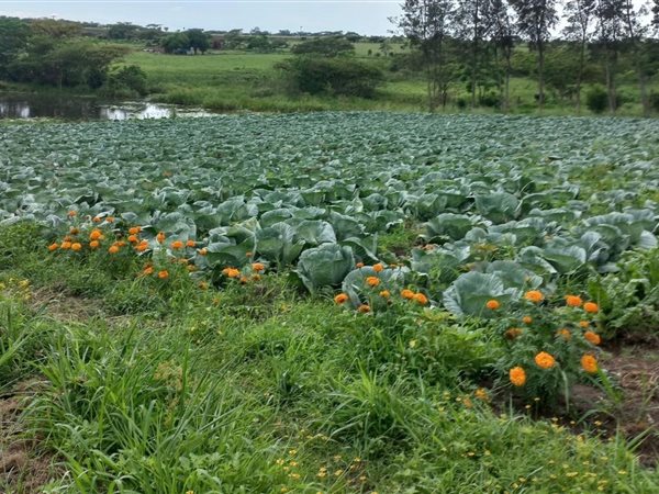 20.3 ha Farm 20.3 ha Farm