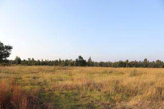 11 ha Land available in Hillside AH photo number 5
