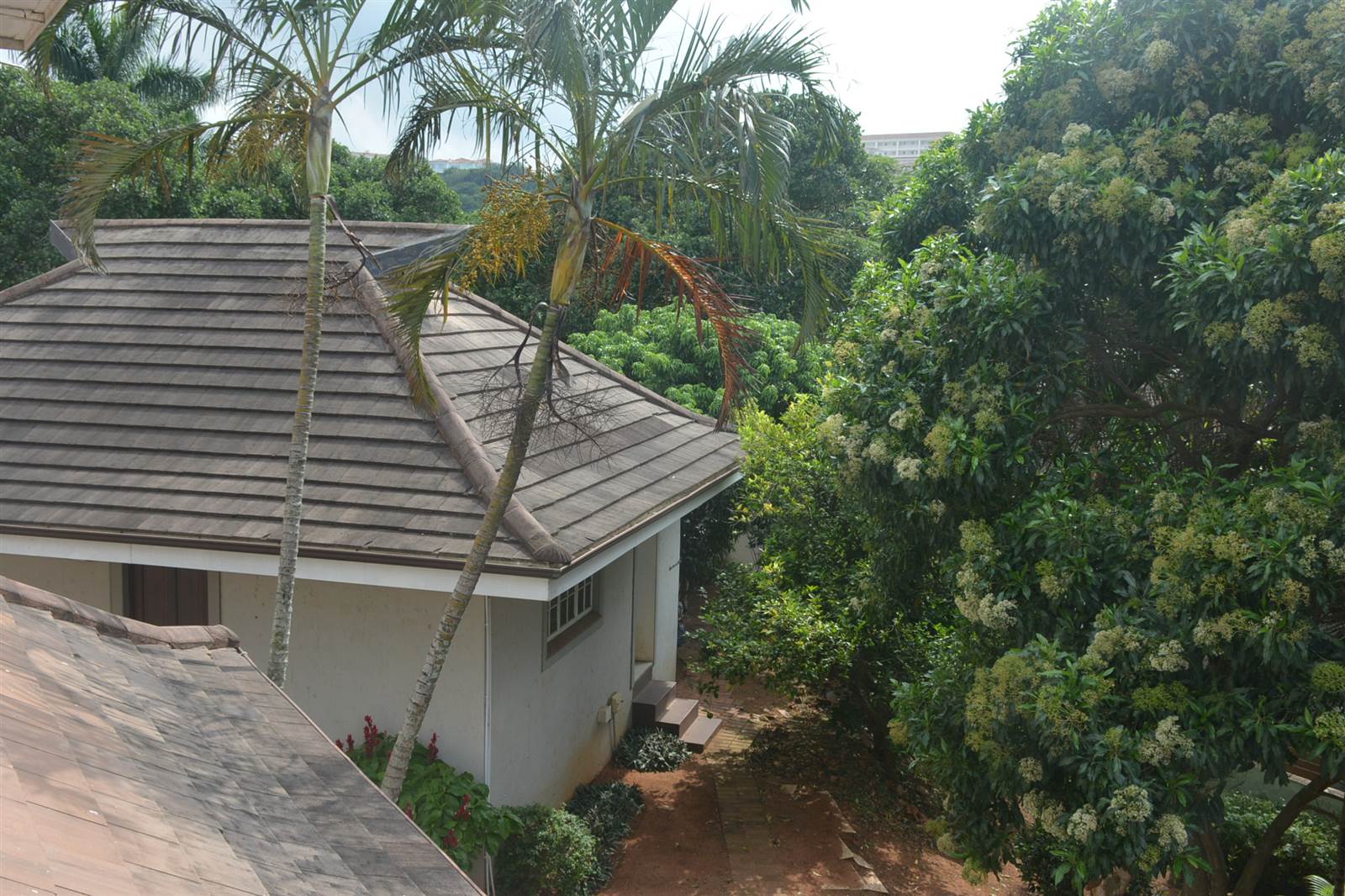 3 Bed House in La Lucia photo number 15