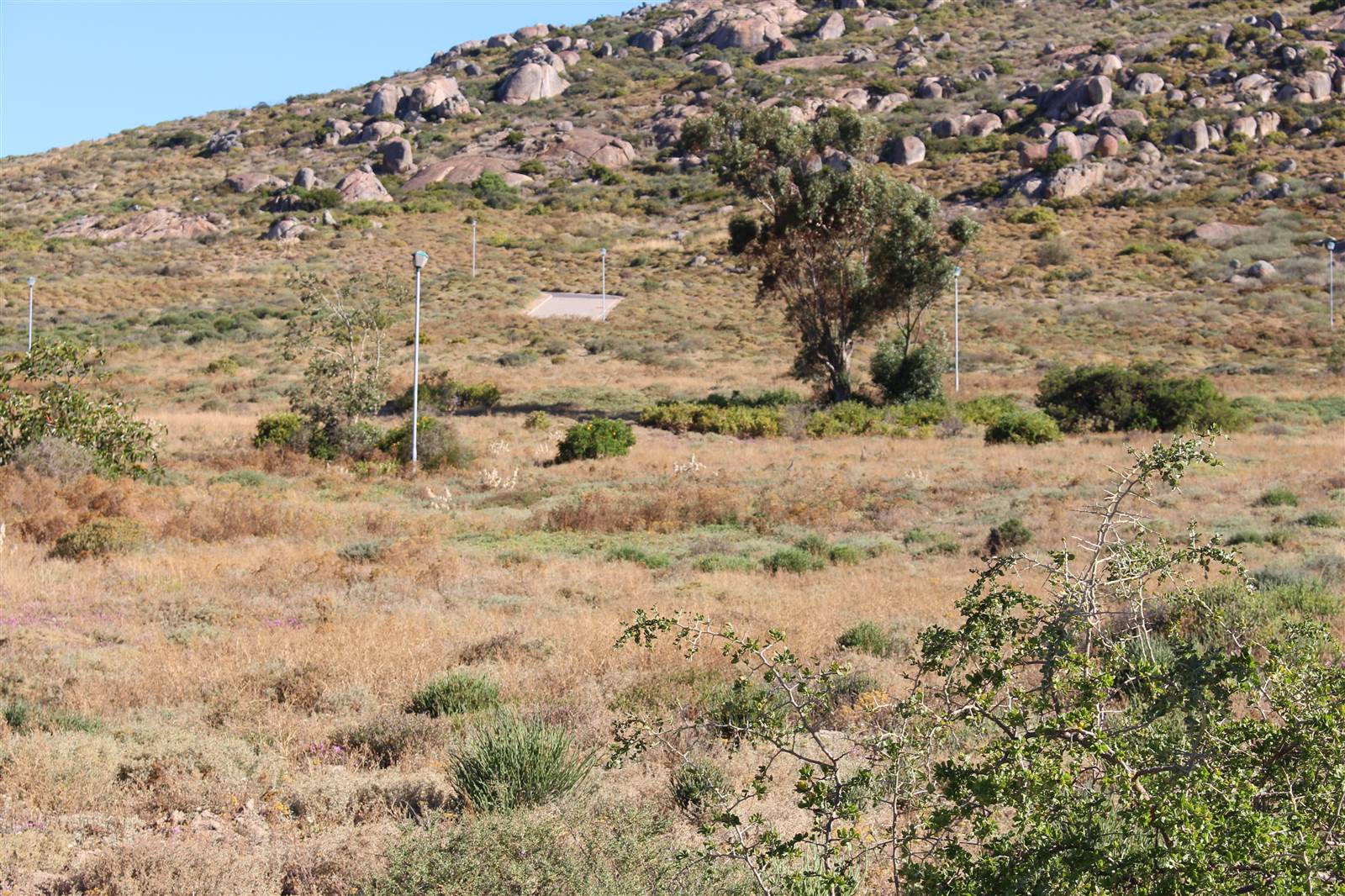 446 m² Land available in St Helena Views photo number 9