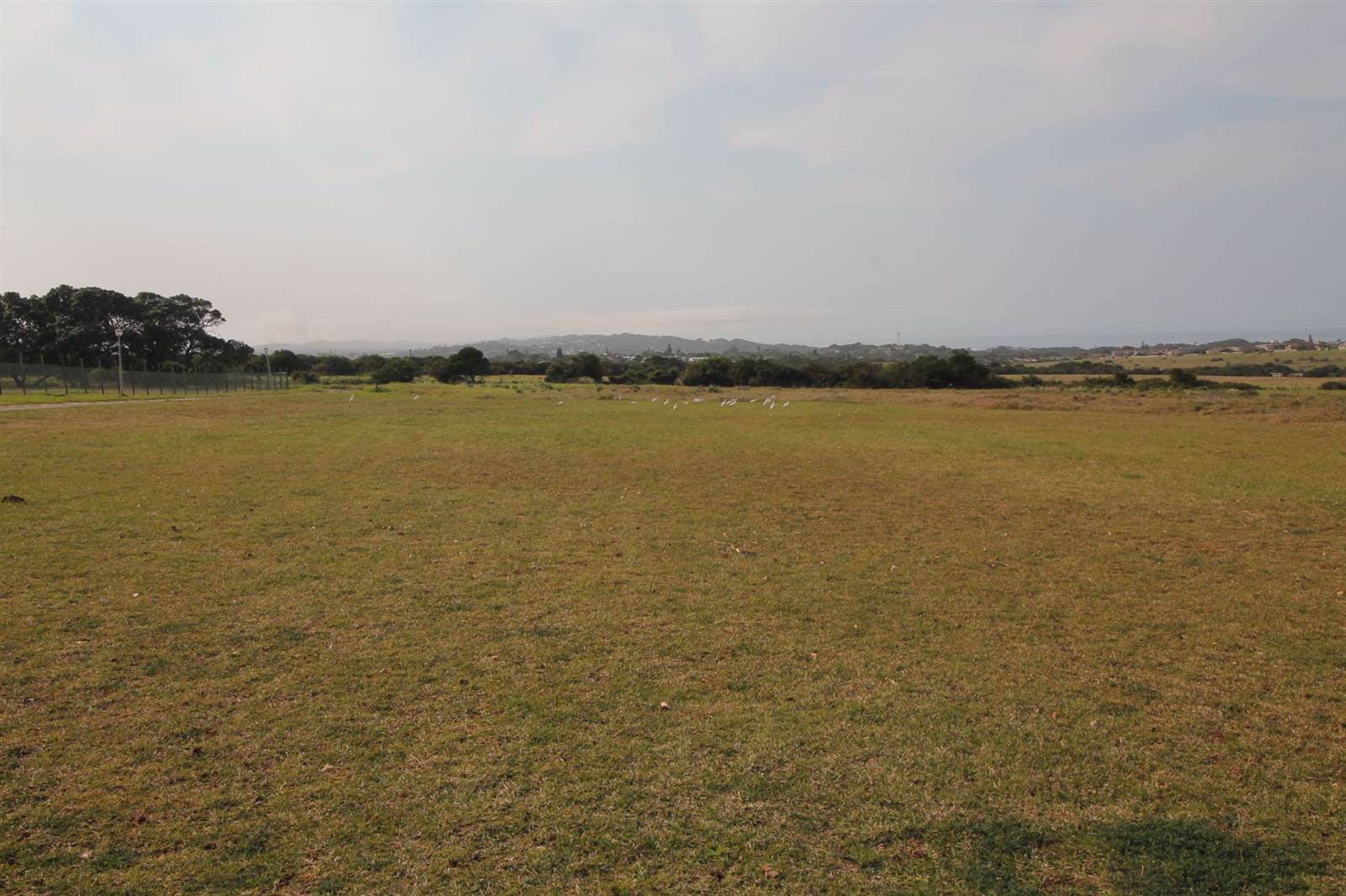 1.1 ha Land available in West Bank photo number 5
