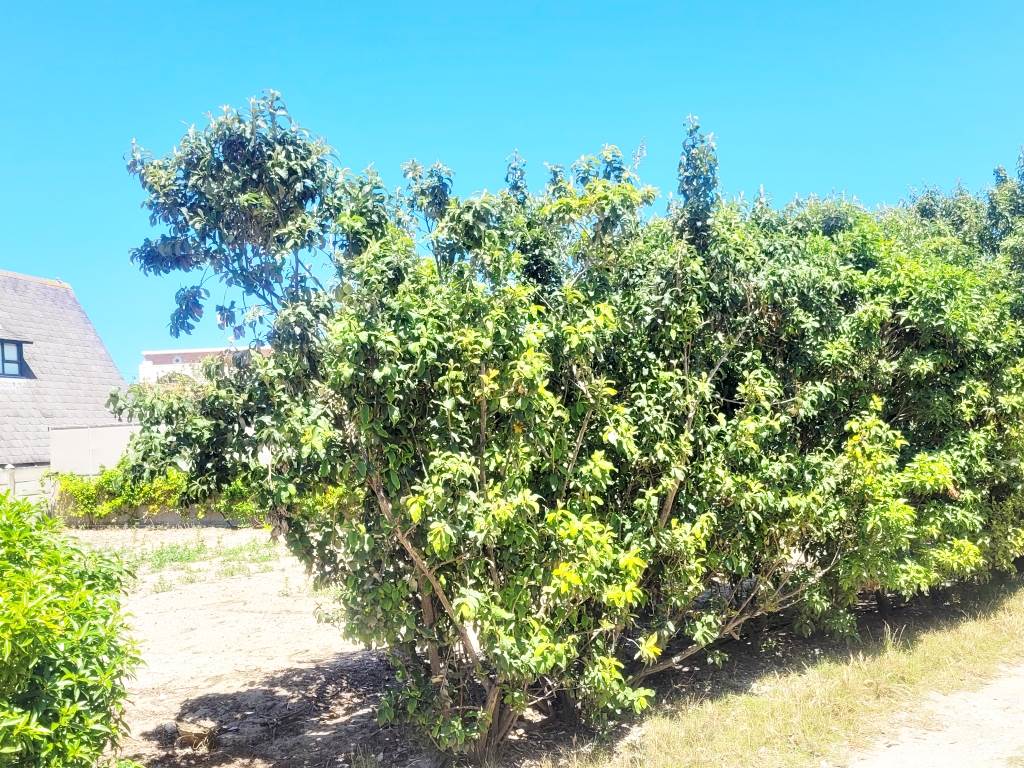 1285 m² Land available in Struisbaai photo number 23