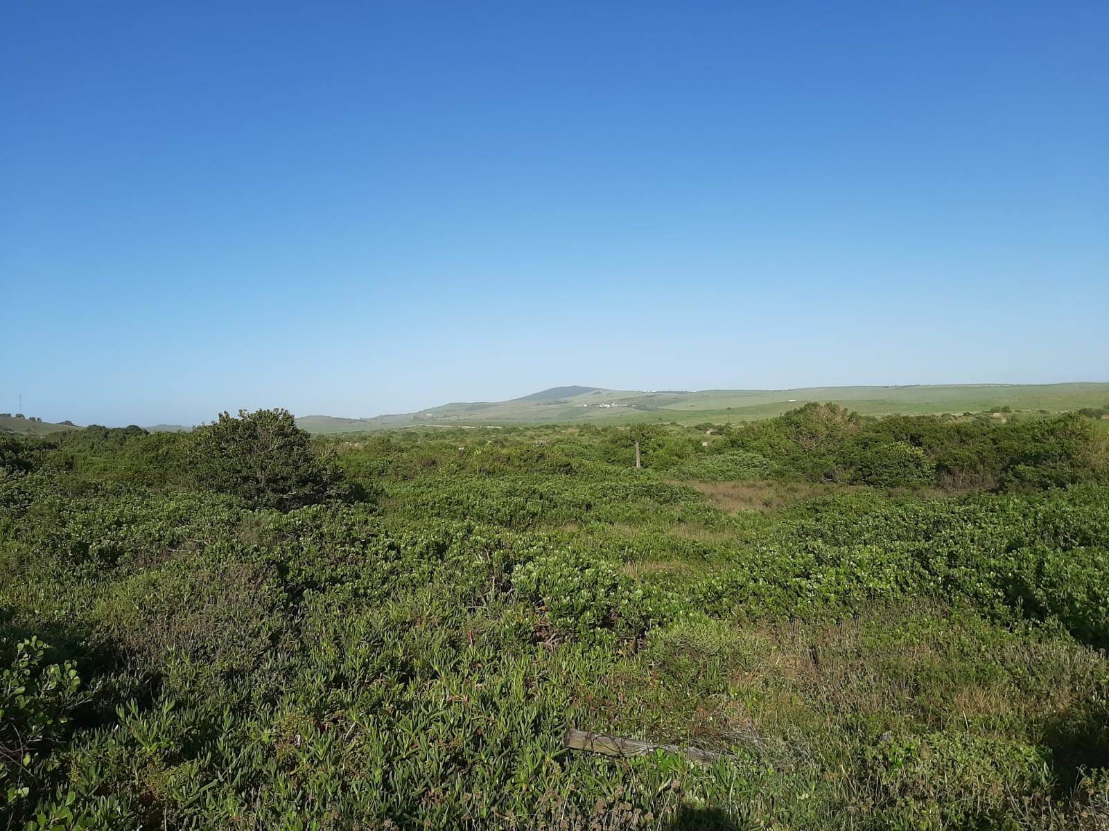 800 m² Land available in Boknesstrand photo number 5