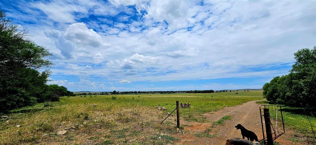 122 ha Farm in Bloemfontein Rural photo number 1