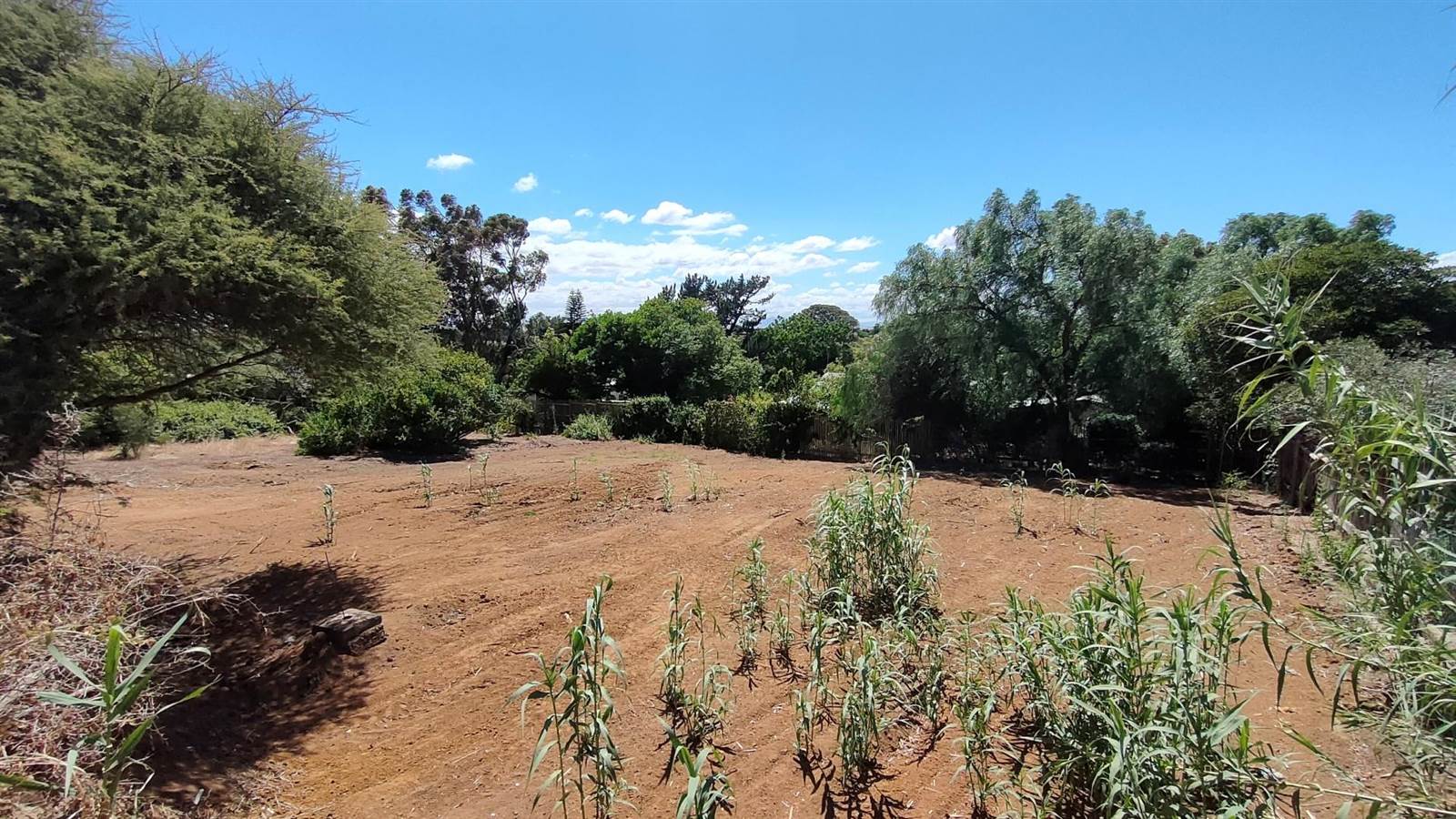 634 m² Land available in Darling photo number 17