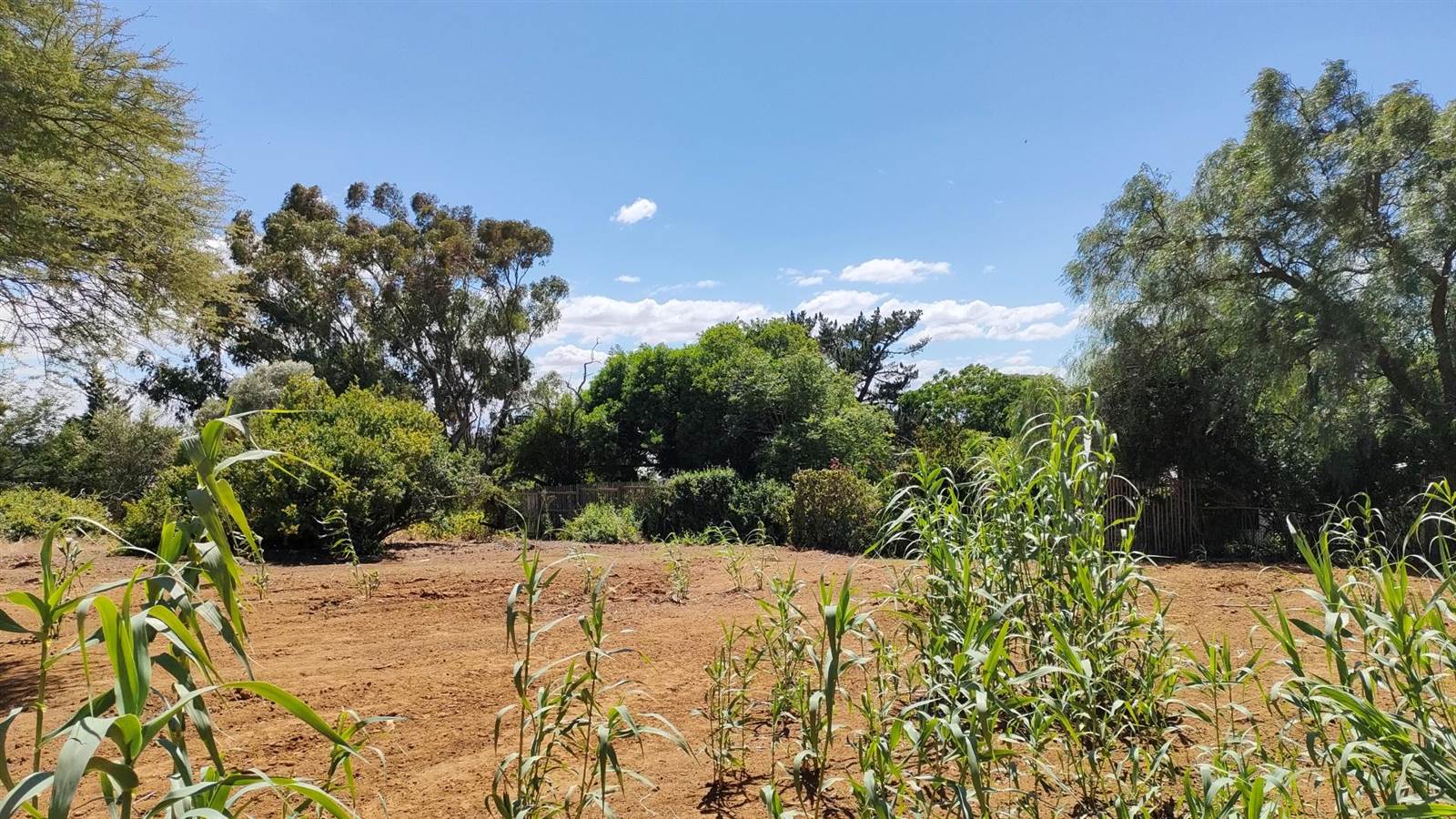634 m² Land available in Darling photo number 5