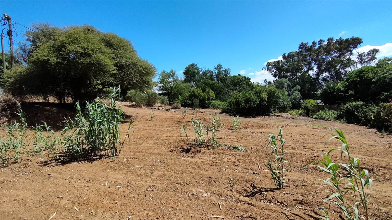 634 m² Land available in Darling photo number 4