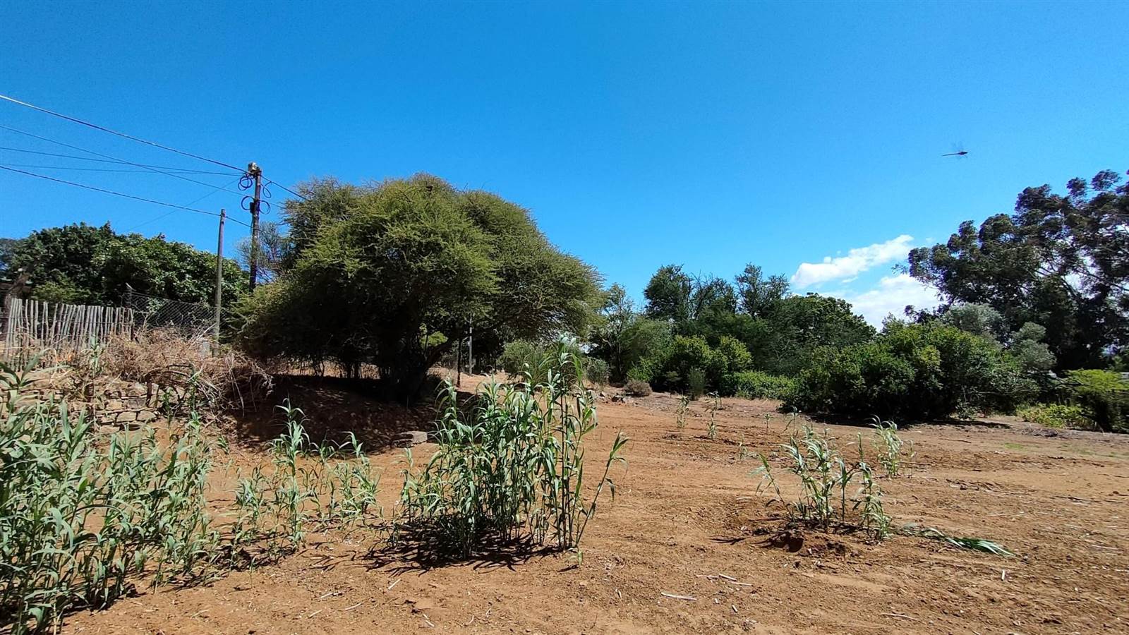 634 m² Land available in Darling photo number 14