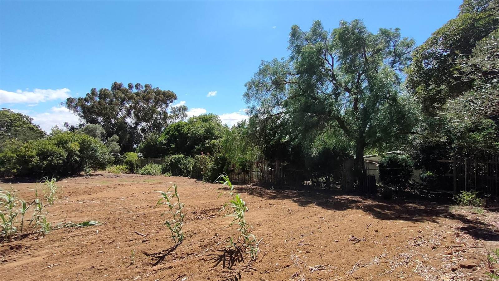 634 m² Land available in Darling photo number 1