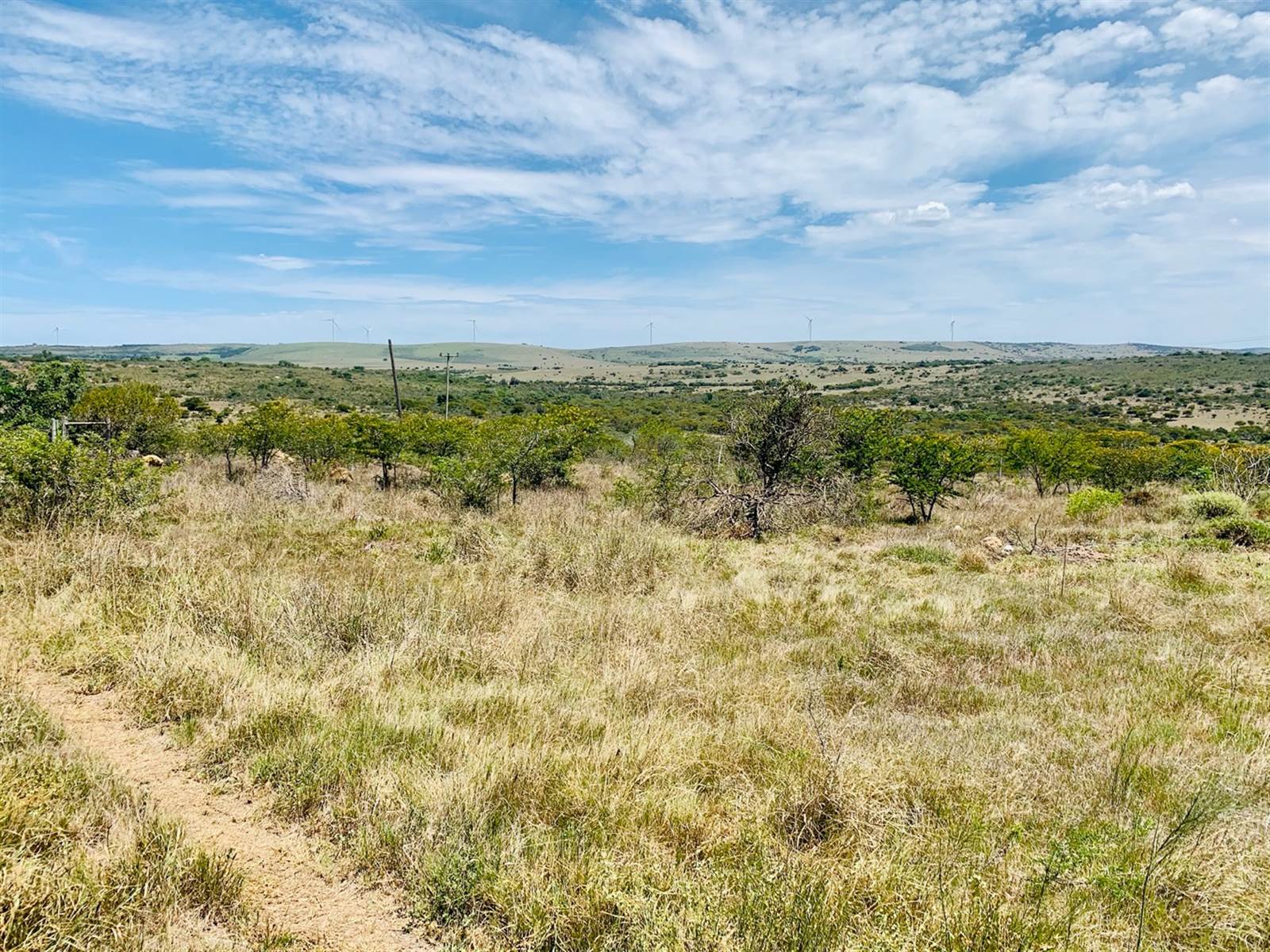 4053 m² Land available in Grahamstown Central photo number 2