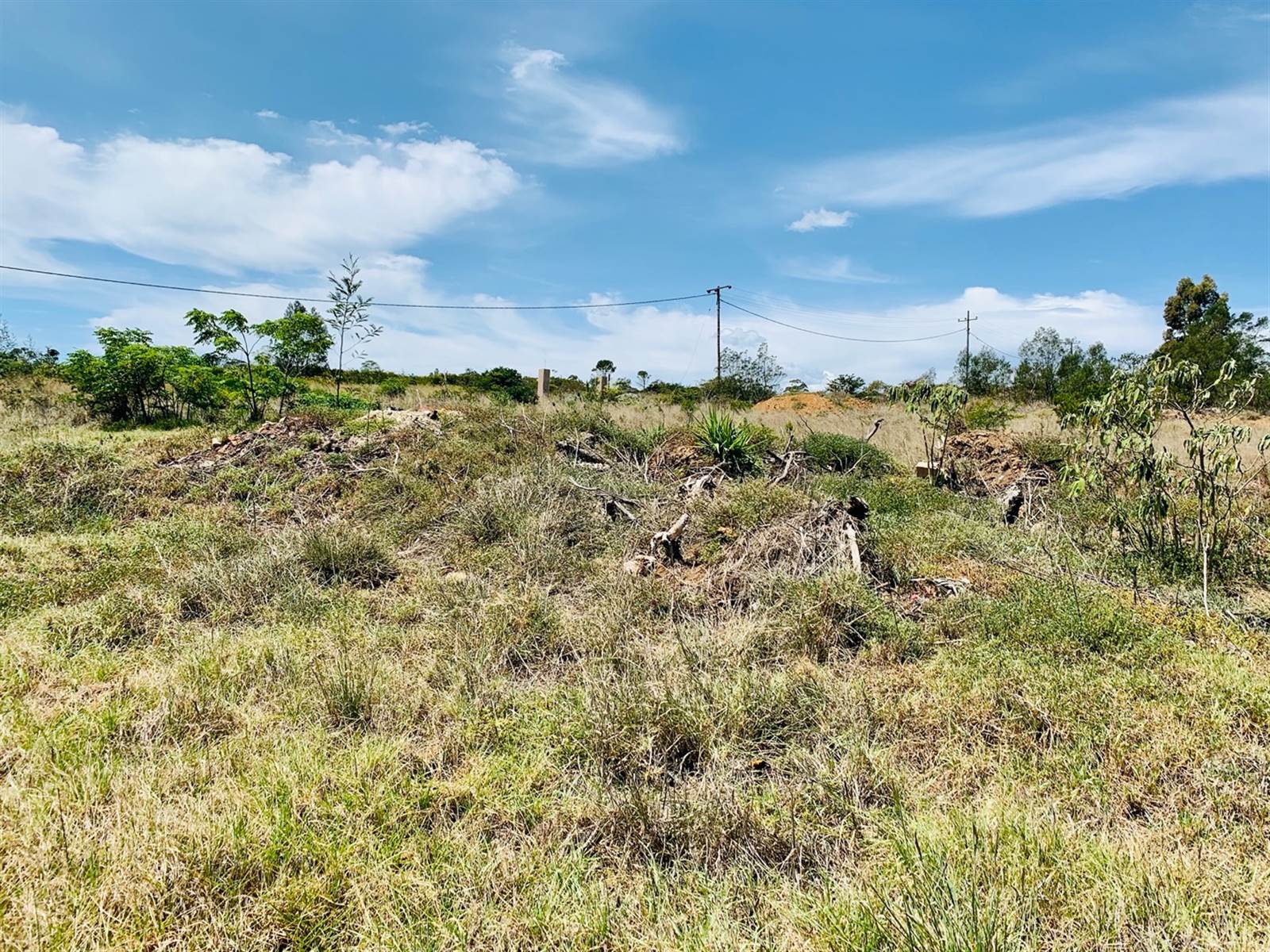 4053 m² Land available in Grahamstown Central photo number 6