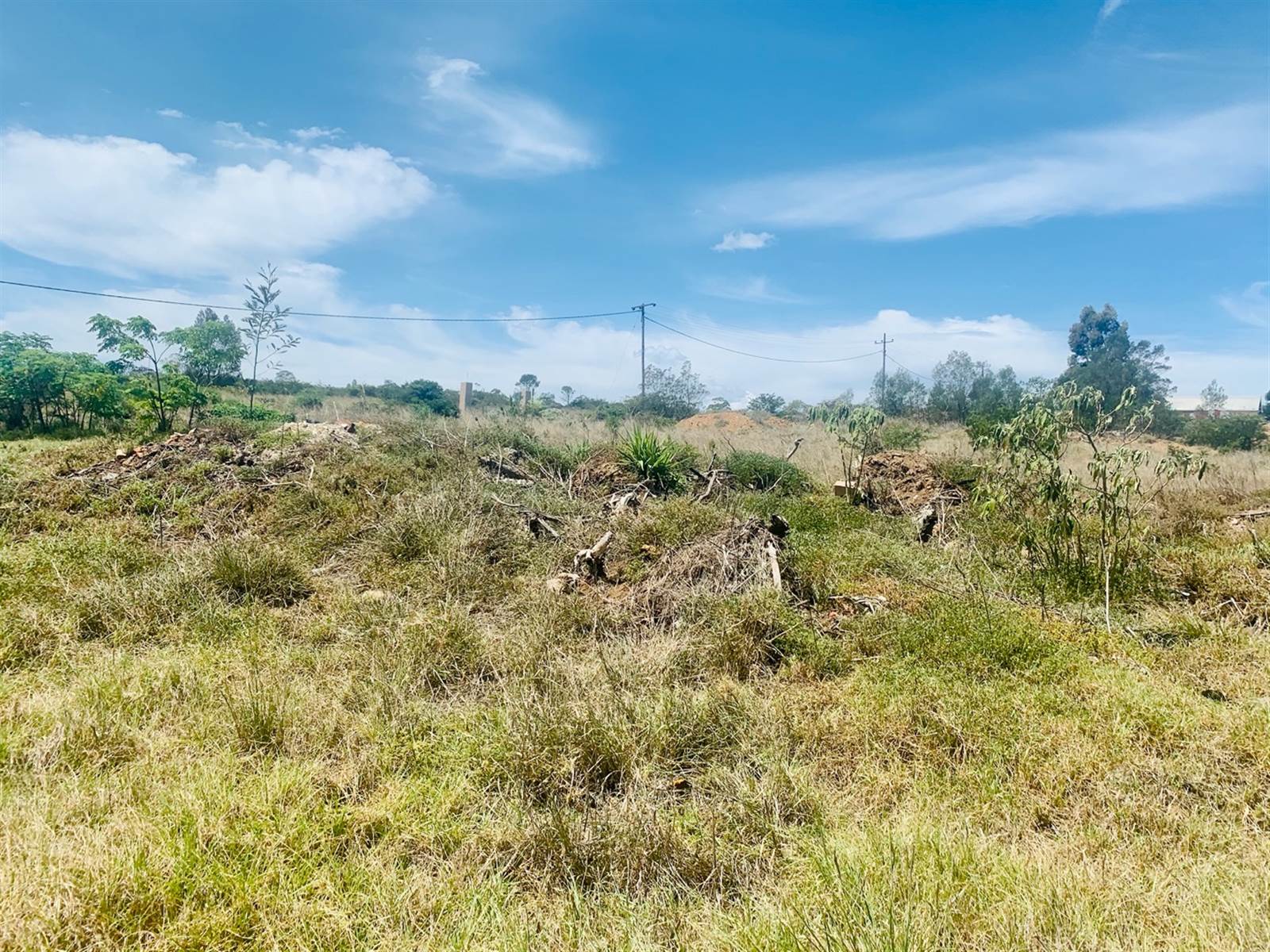 4053 m² Land available in Grahamstown Central photo number 3