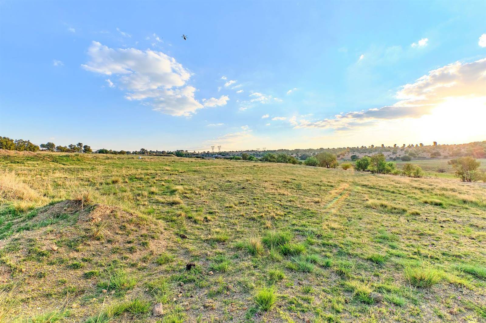 6258 m² Land available in Laezonia photo number 3