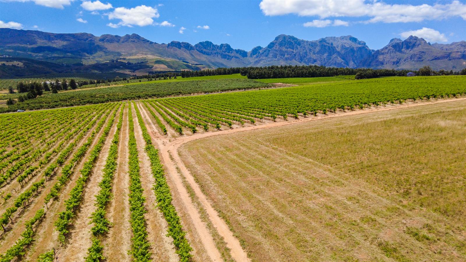 19.7 ha Farm in Northern Paarl photo number 4