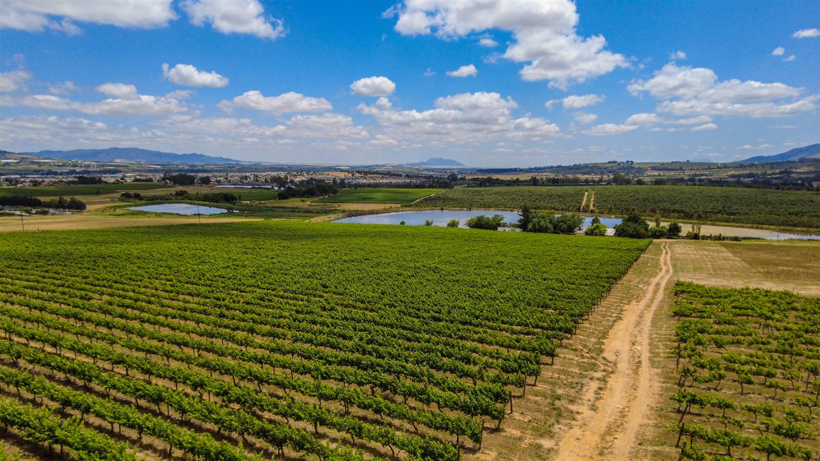 19.7 ha Farm in Northern Paarl photo number 7
