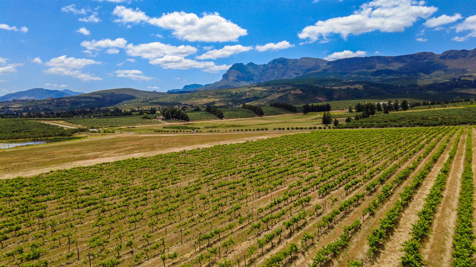 19.7 ha Farm in Northern Paarl photo number 5