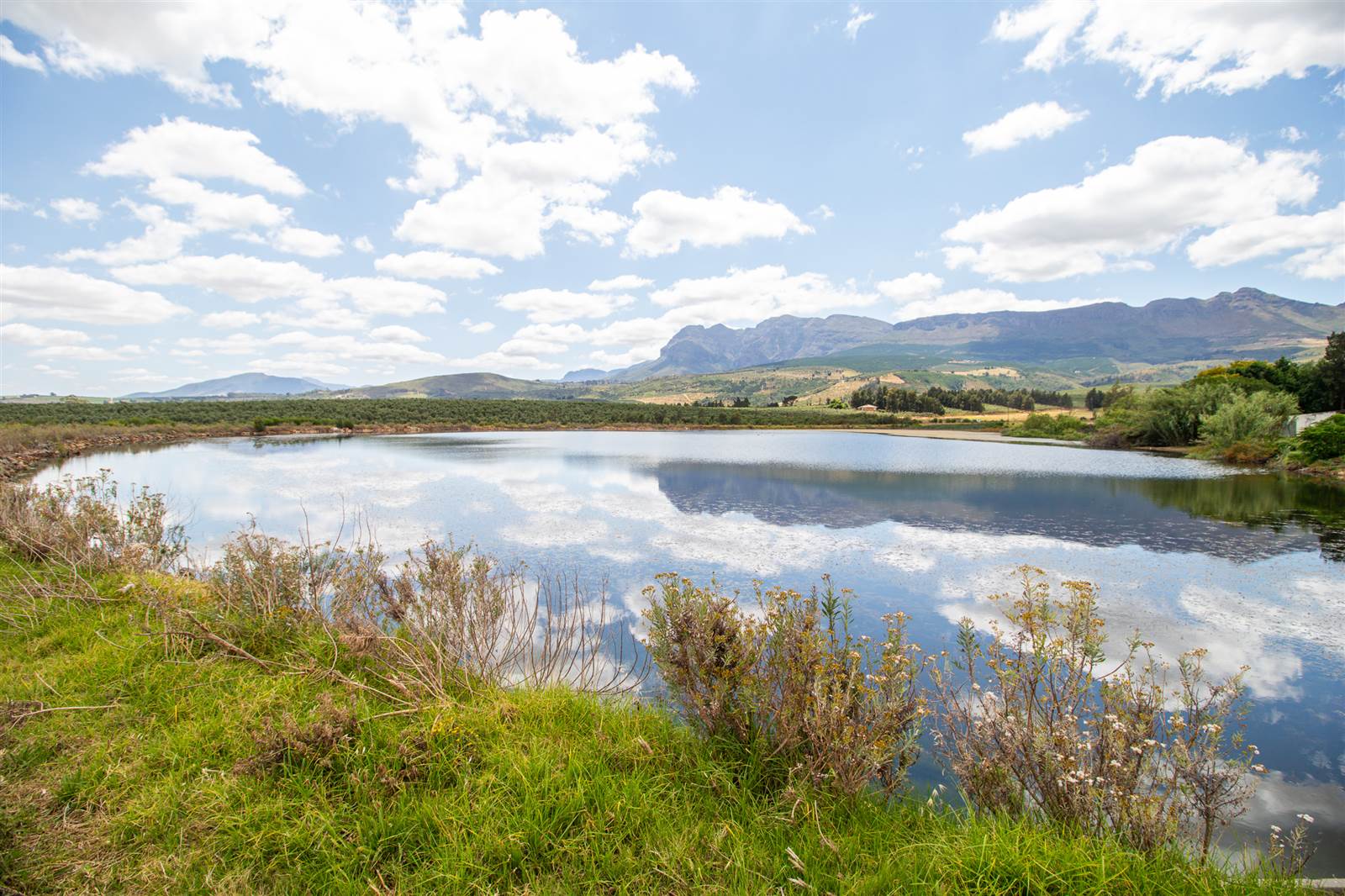 19.7 ha Farm in Northern Paarl photo number 17
