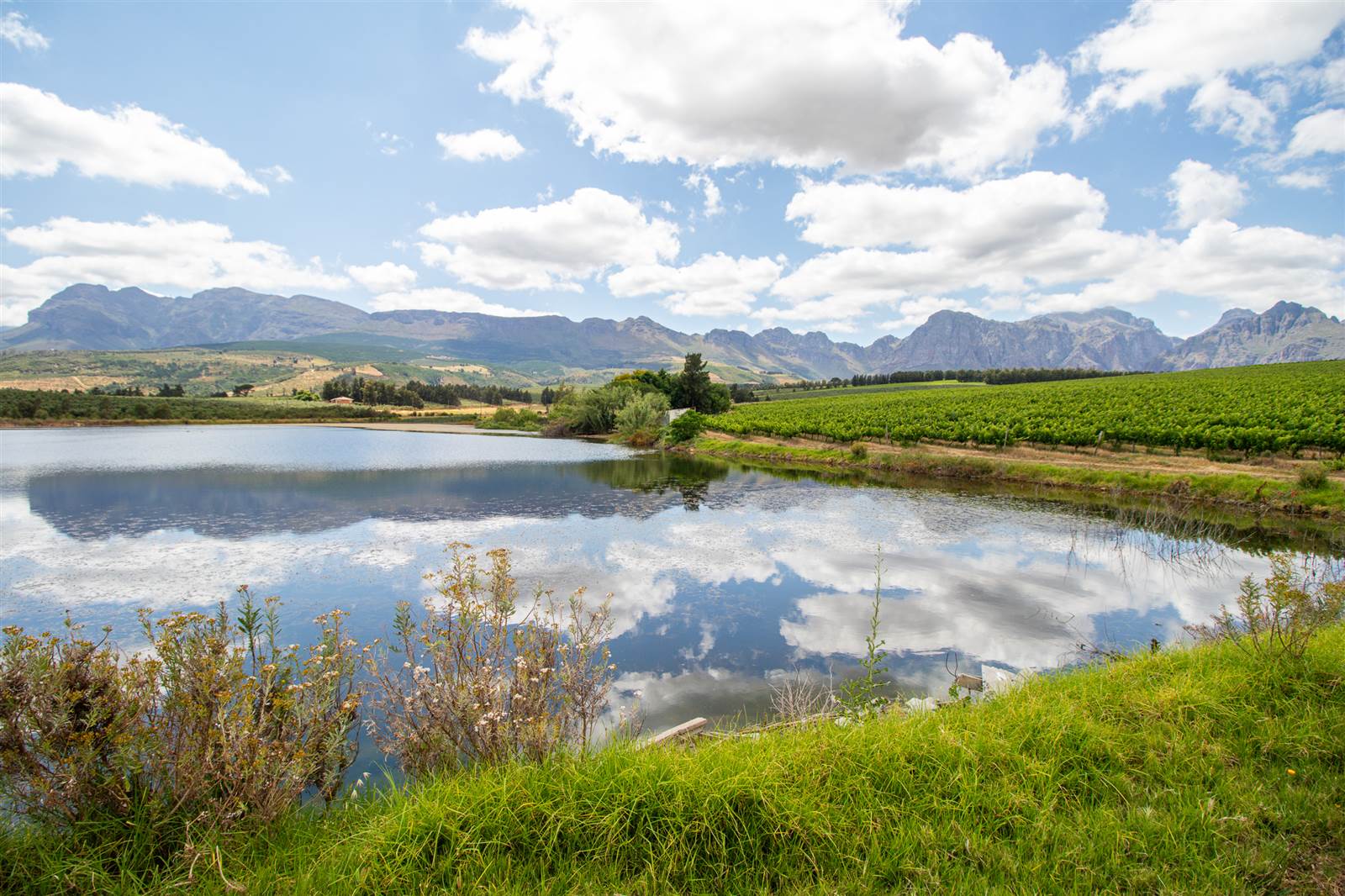 19.7 ha Farm in Northern Paarl photo number 18
