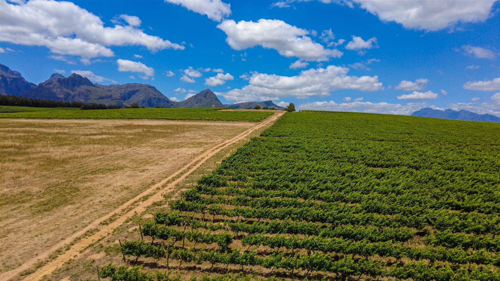 19.7 ha Farm in Northern Paarl photo number 10