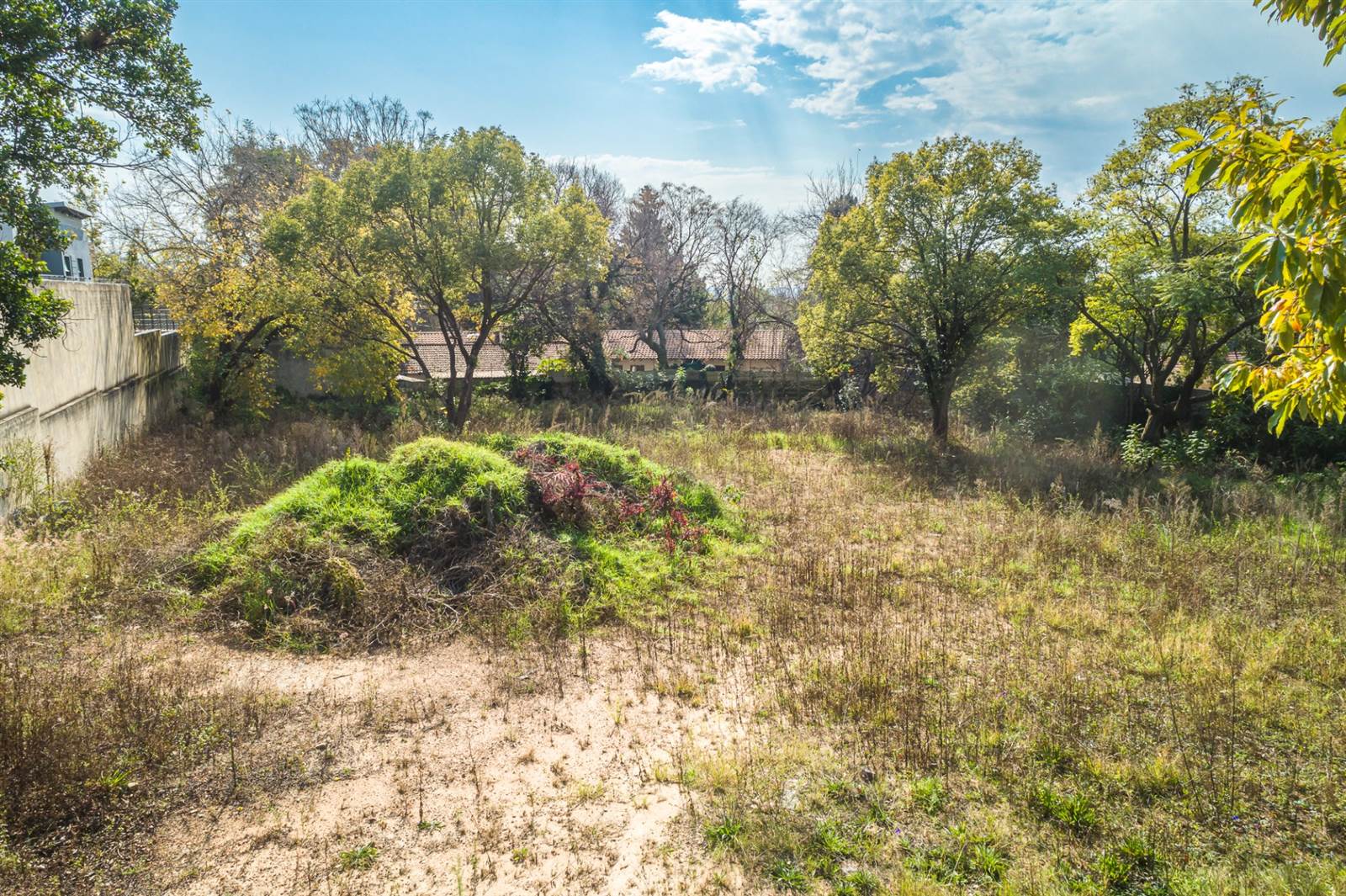 2040 m² Land available in Morningside photo number 11