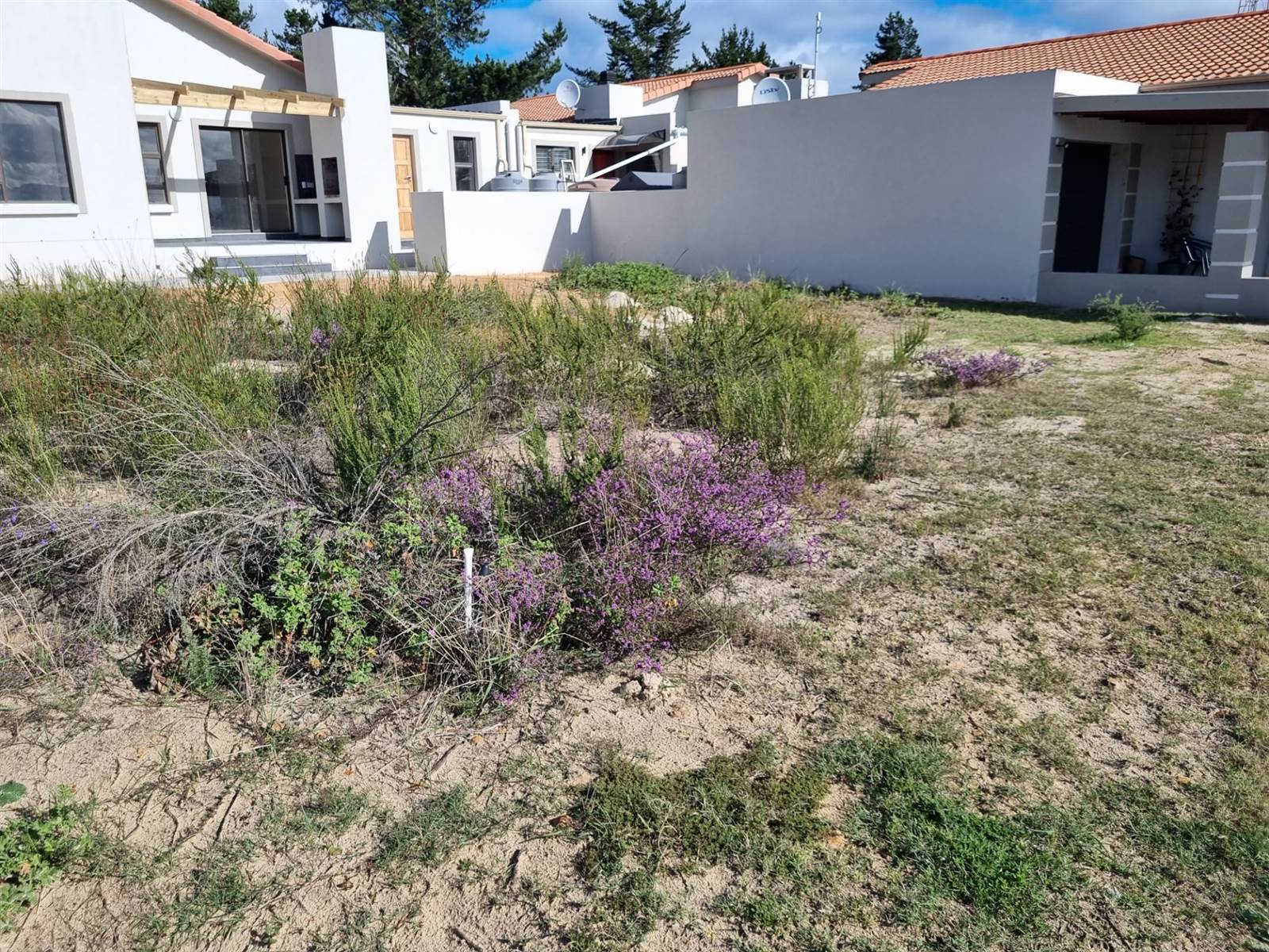 226 m² Land available in Albertinia photo number 5
