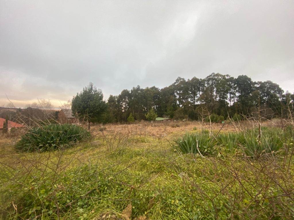 800 m² Land available in Dullstroom photo number 3
